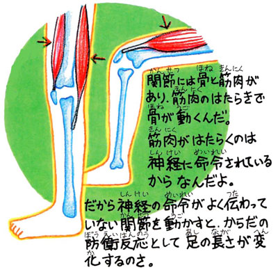 自律神経失調症　克服　整体　横浜　改善 治療院　治療